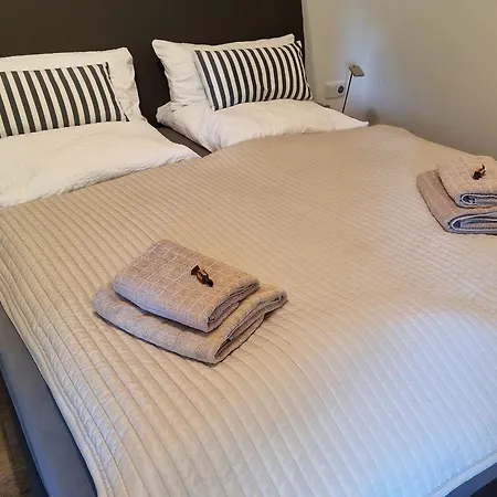 2 Ostsee-wellnesslandhaeuser Sauna, Dampfbad, Jacuzzi Villa Groß Schwansee