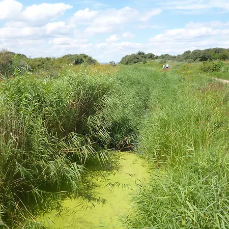 2 Ostsee-wellnesslandhaeuser Sauna, Dampfbad, Jacuzzi Groß Schwansee