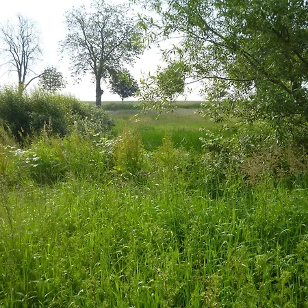 2 Ostsee-wellnesslandhaeuser Sauna, Dampfbad, Jacuzzi *