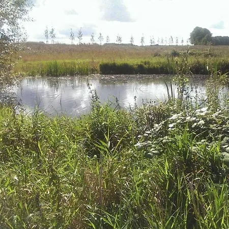 2 Ostsee-wellnesslandhaeuser Sauna, Dampfbad, Jacuzzi Groß Schwansee