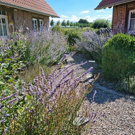 2 Ostsee-wellnesslandhaeuser Sauna, Dampfbad, Jacuzzi