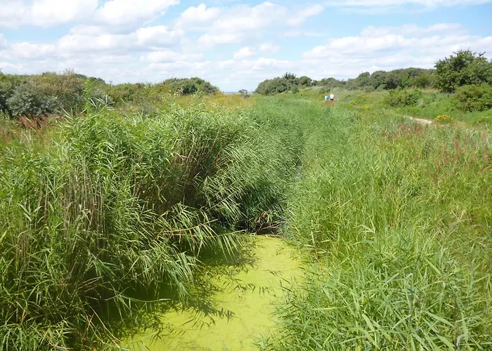 2 Ostsee-wellnesslandhaeuser Sauna, Dampfbad, Jacuzzi Groß Schwansee