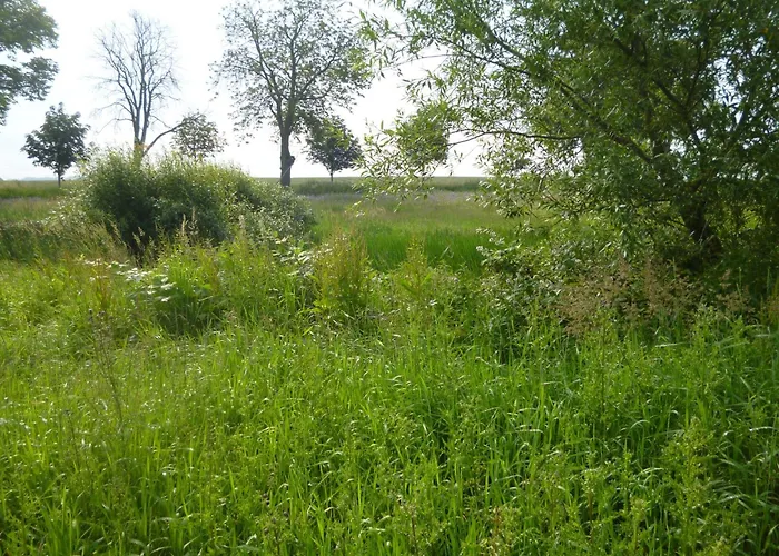 2 Ostsee-wellnesslandhaeuser Sauna, Dampfbad, Jacuzzi *