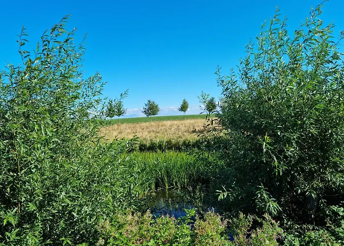 2 Ostsee-wellnesslandhaeuser Sauna, Dampfbad, Jacuzzi * Groß Schwansee