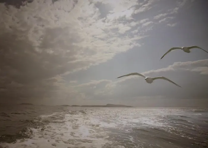 2 Ostsee-wellnesslandhaeuser Sauna, Dampfbad, Jacuzzi Groß Schwansee