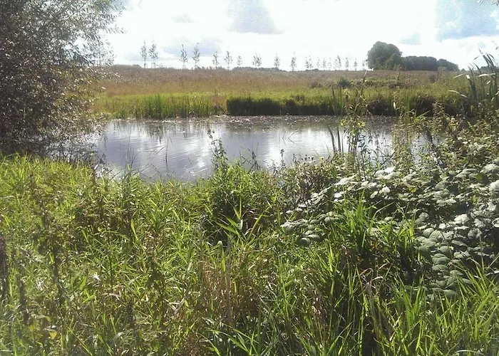 2 Ostsee-wellnesslandhaeuser Sauna, Dampfbad, Jacuzzi Groß Schwansee