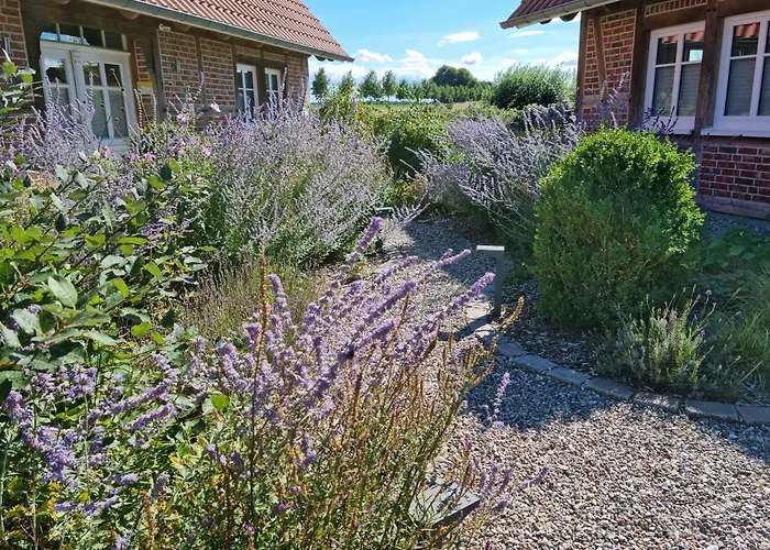 2 Ostsee-wellnesslandhaeuser Sauna, Dampfbad, Jacuzzi